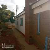 house rent