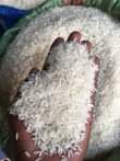 A picture of Tz Super Rice kawoowo Nicely Sorted Without Stones and With