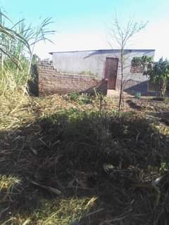 rooms to rent harare