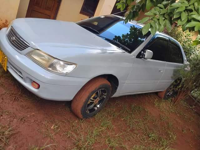 A picture of TOYOTA PREMEO