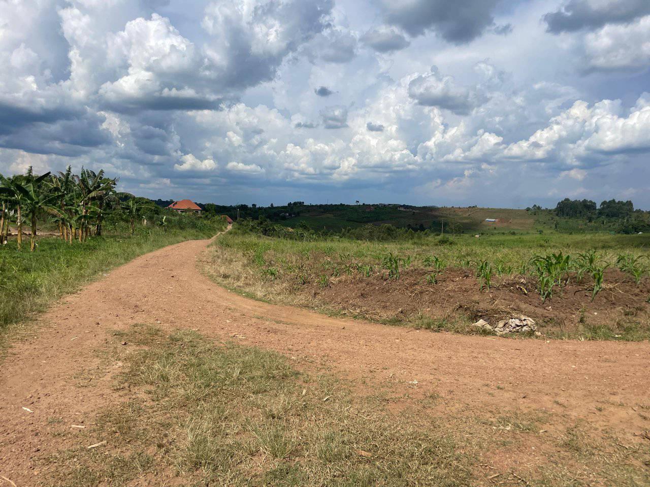 A picture of PRIME PLOTS LOCATED WAKISO GOBERO HOIMA ROAD
