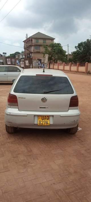A picture of Polo