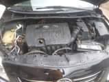 A picture of Toyota Corolla 2009