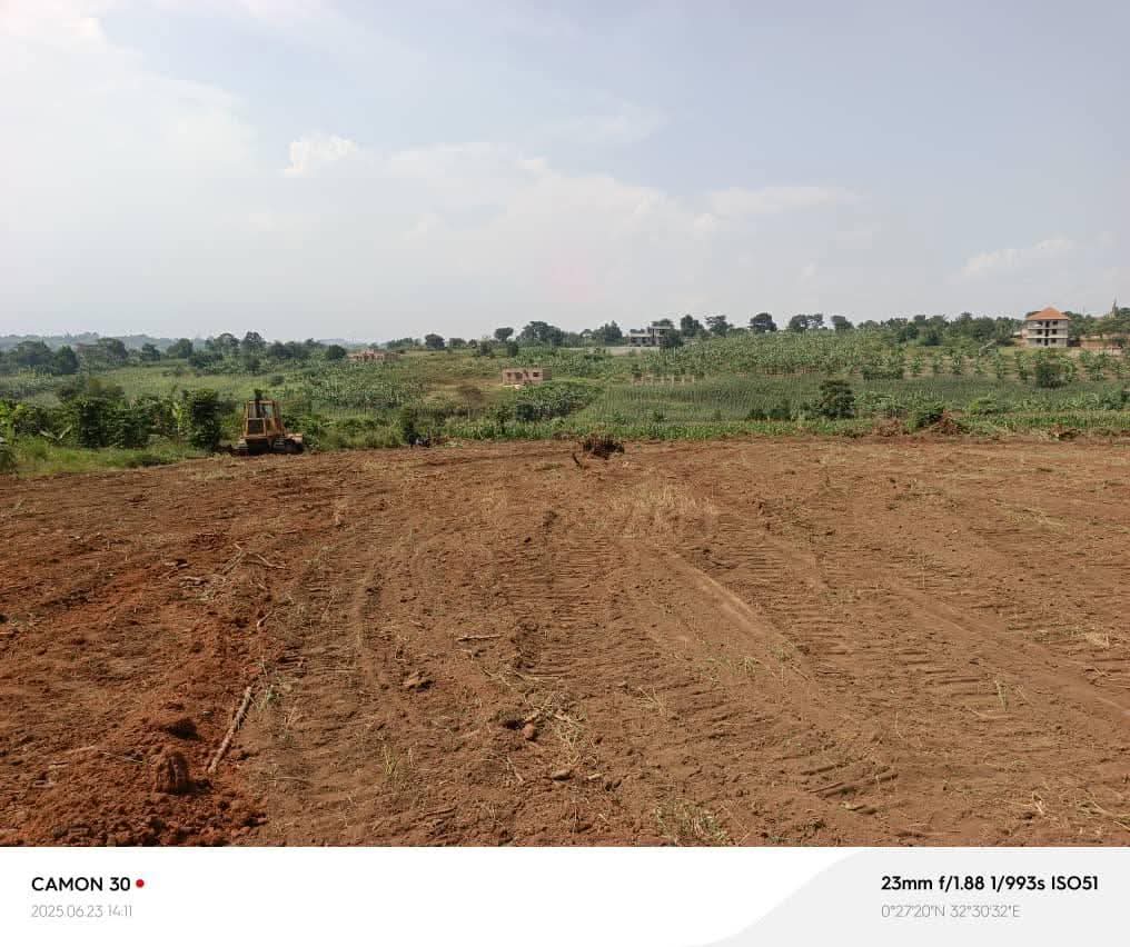 A picture of Land