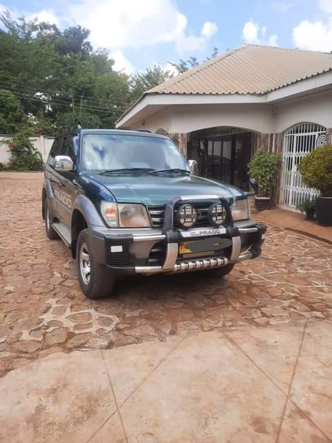 used toyota prado