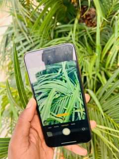 A picture of iPHONE 11 PRO MAX 64GB BH 78 CLEAN CONDITION Top
