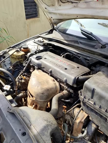 A picture of Toyota solara