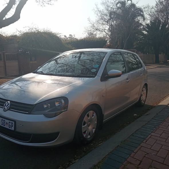 polo vivo