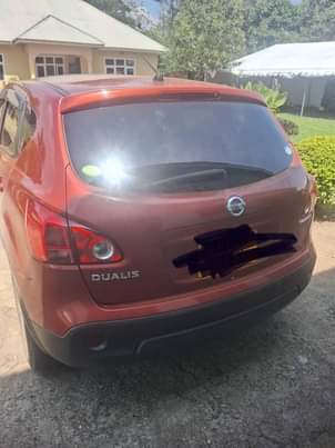 A picture of Nissan Dualis