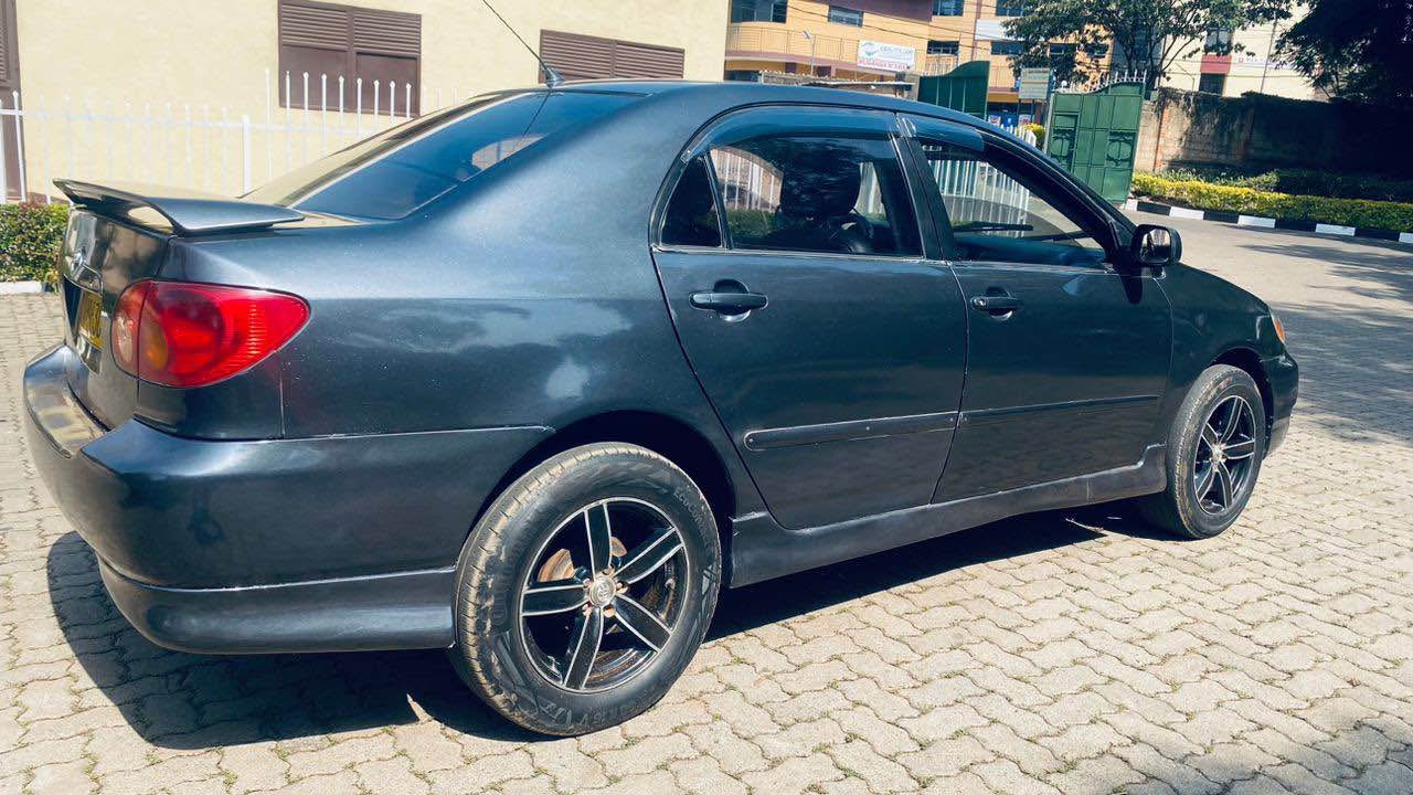 used toyota corolla
