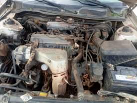 A picture of camry fish light