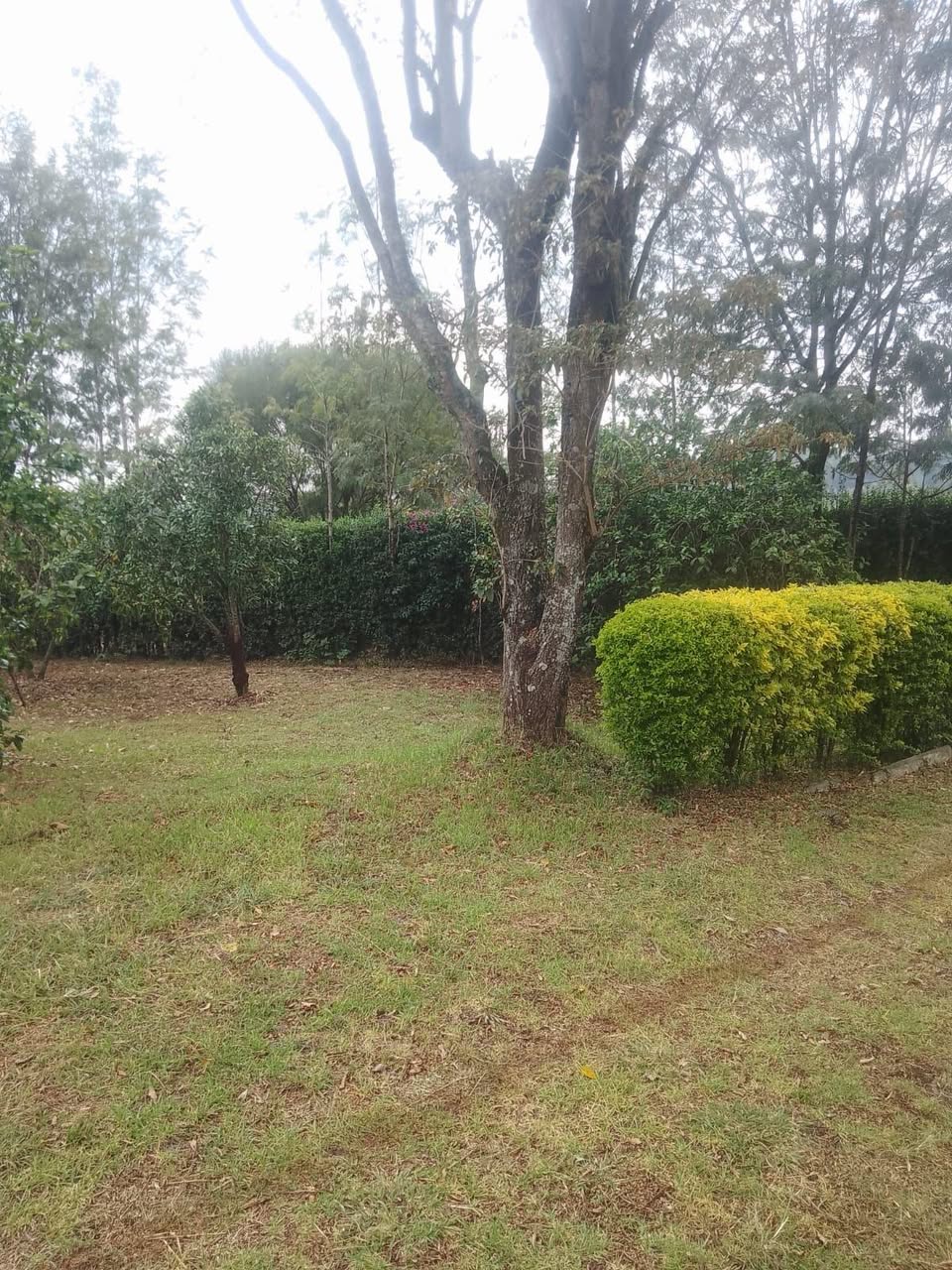 residential plots