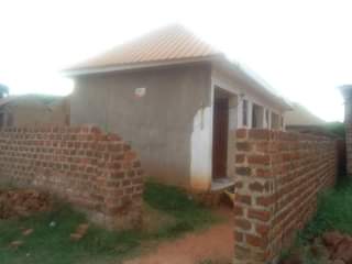Onyango J.