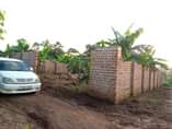 A picture of House on sale 68m located at matugga Has 2bedroom sitting