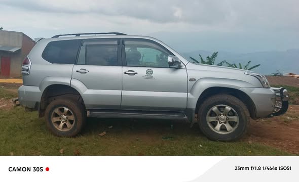 used toyota prado