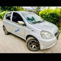 A picture of Vitz