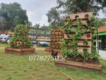 A picture of vertical farms
