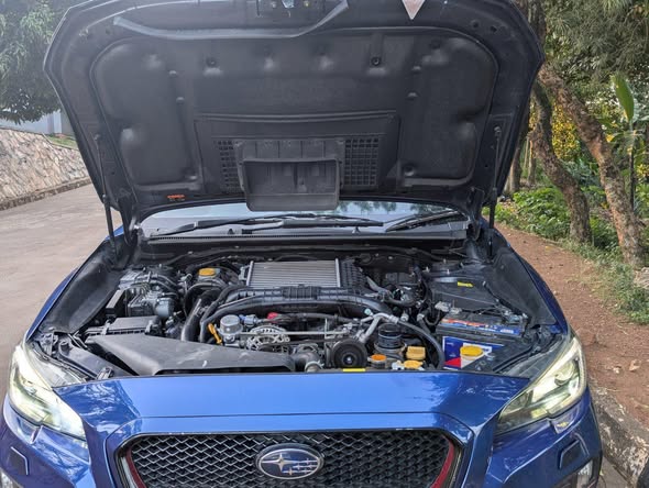 A picture of 2019 Subaru Levorg