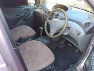A picture of Vitz