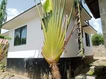 A picture of Nyumba yakupanga bila malipo ya dalali