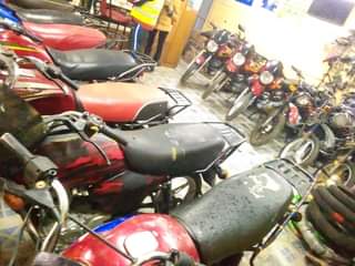 Mungai P.