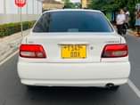 A picture of CARINA Ti 0652438053