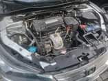 A picture of 2013 honda accord