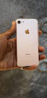 A picture of iPhone 7 Plain