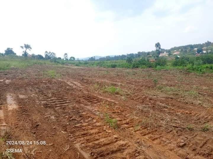 A picture of MAZIMA BISOBOKA NEW SITE IS OPENED ATMatugga migade 1km off