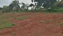 A picture of Plot