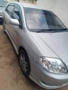 A picture of ALLEX call 0659 645796