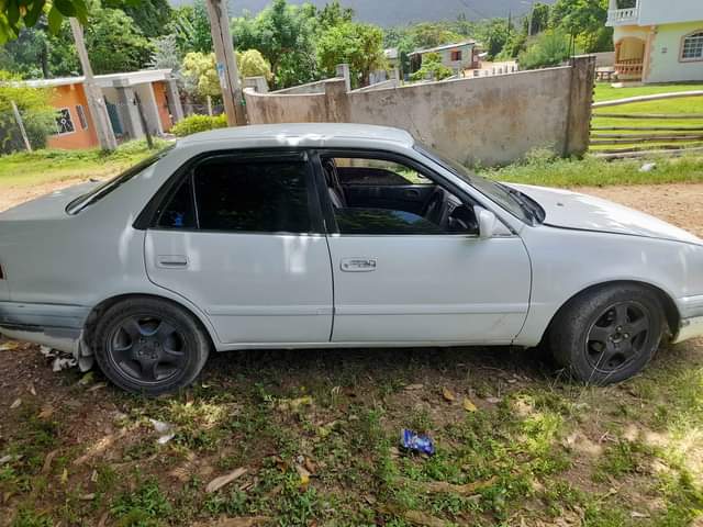 car shocks