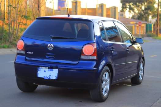 A picture of Polo 5