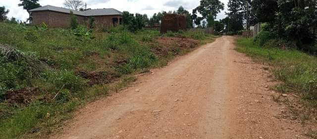 A picture of Busukuma plots on sale 25km from Kampala they are only