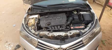 A picture of Corolla 014
