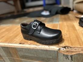 A picture of School shoes