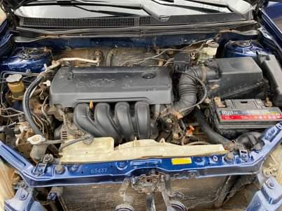A picture of Toyota yaris 2005 08083629621 