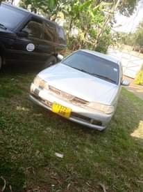 A picture of Carina 0767410504