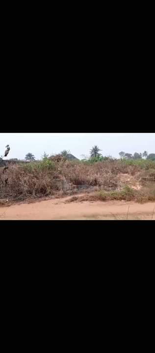 A picture of Land