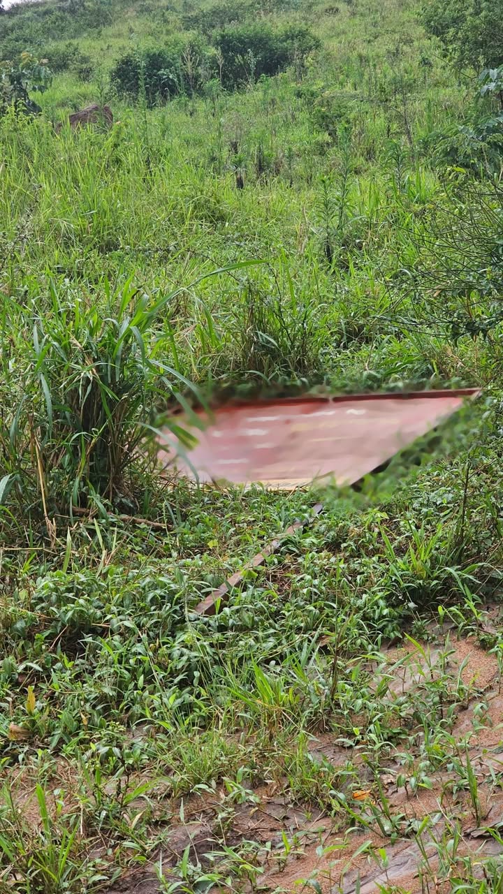A picture of Land