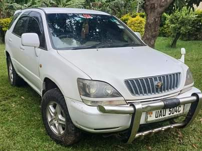 A picture of Selling harrier ordinary