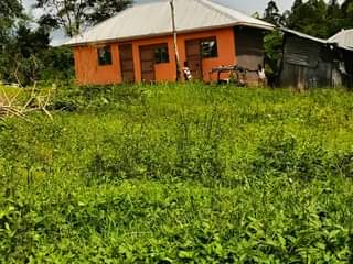 A picture of  CHEAP PLOTS .on SALE MATUGGA KIWEBWA NEAR MANZE TOWN