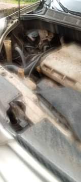A picture of Toyota sienna 2005