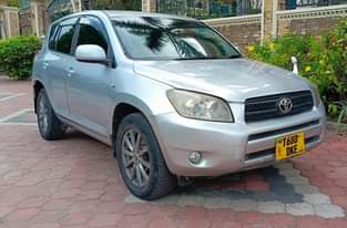 A picture of Miss Tz Rav for sale DKE
