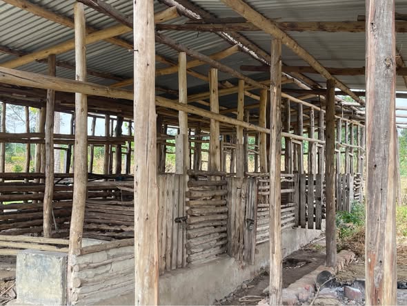 A picture of 2 5 FERTILE ACRES FOR SALE IN KAPEEKA