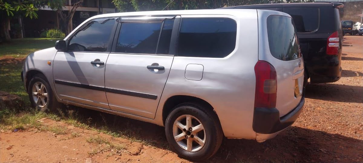 A picture of TOYOTA PROBOX