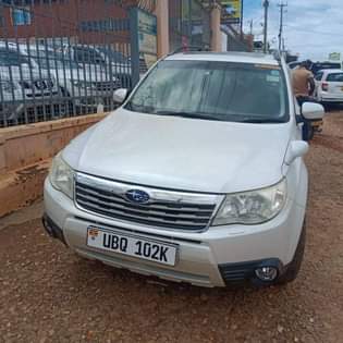A picture of 2010 Subaru Forester