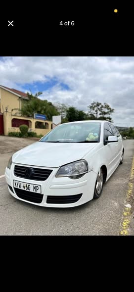 polo bujwa