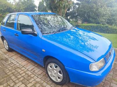 Kzn V.