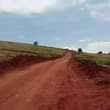 A picture of Plots for sell